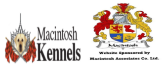 Macintosh Kennels| Breeders, Exhibitors, Trainers, Educators, Stud Services, Boarding
